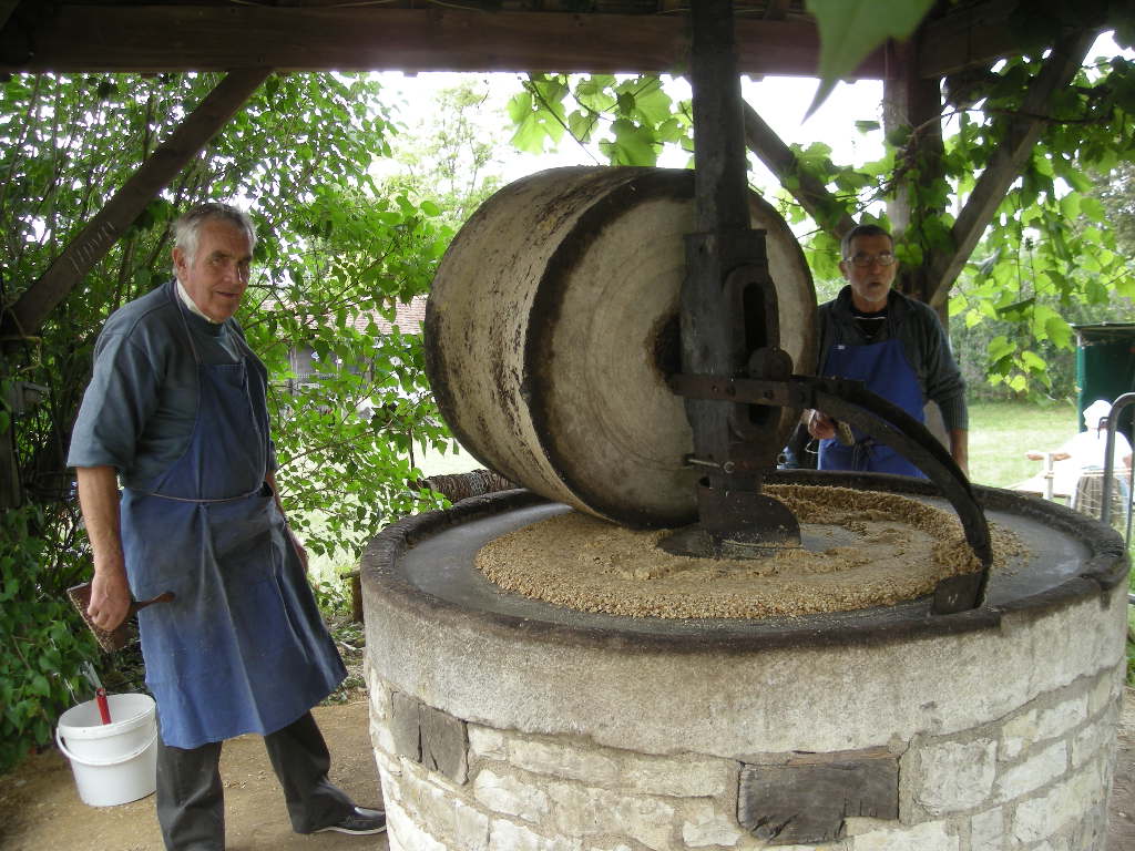 Les cerneaux sont crass par la roue